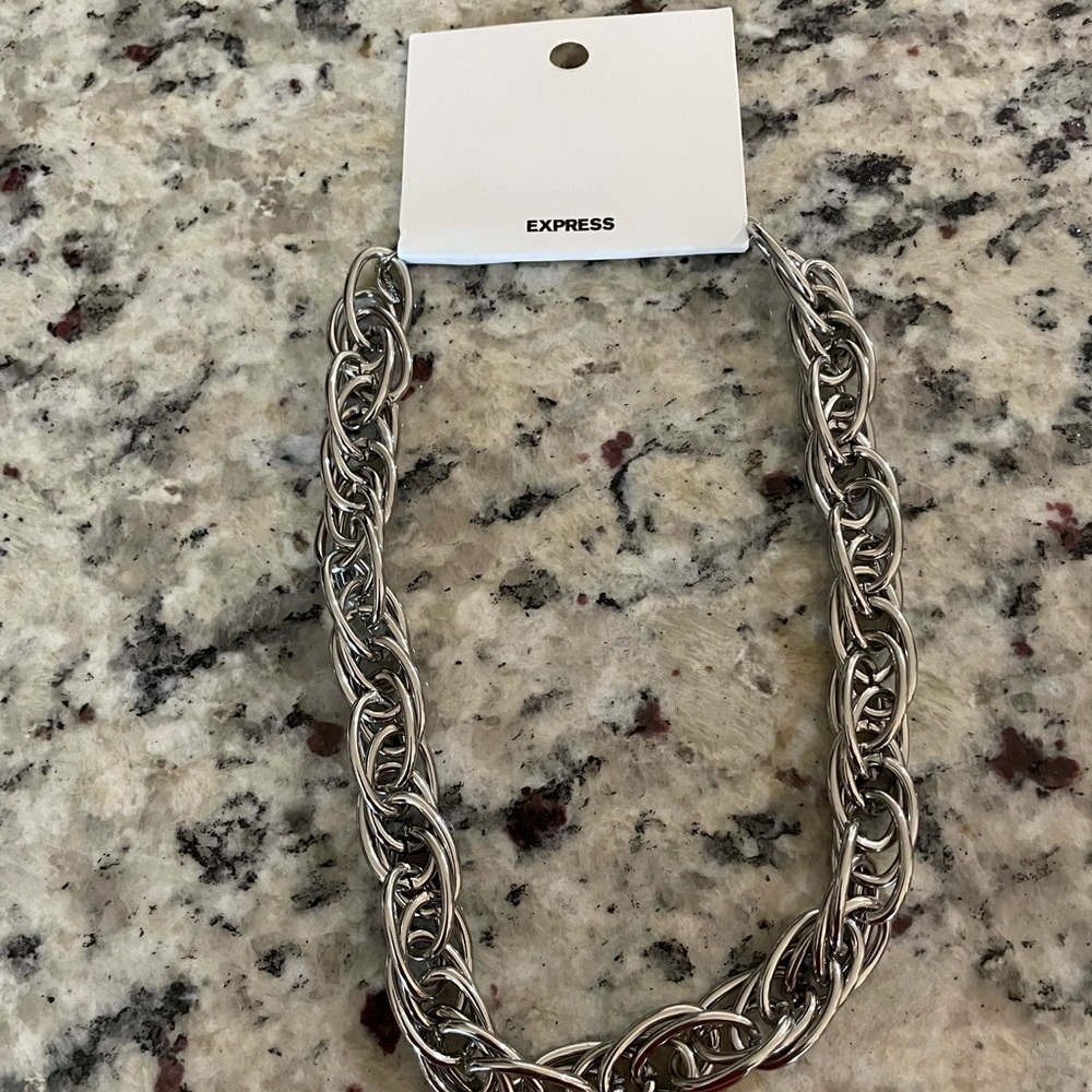 New~Never Worn Express Silver Chunky Chain Necklace w extender 16”-20” long NWT